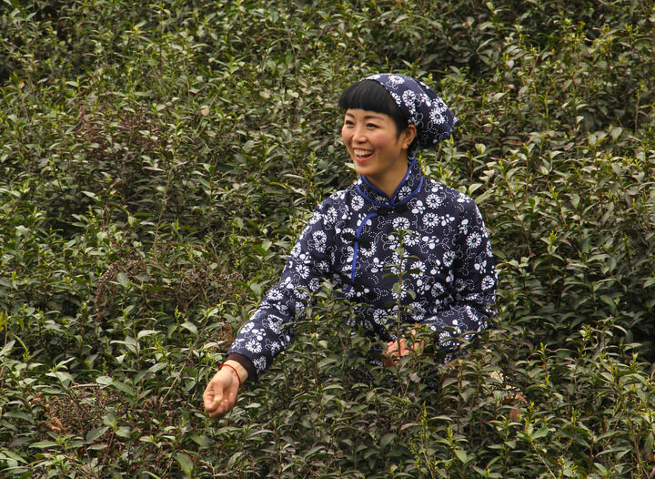 排行8